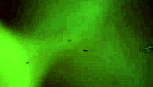 alex - laguna bend sex scene cyberpunk 2077 in-game ultra settings