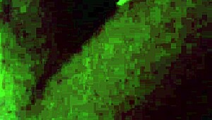 This horny blonde wanted to ride my cock till she milked it dry—did she last all night?