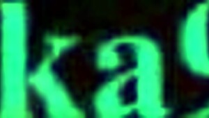 Purah's intense sex in zelda hentai