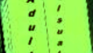 My Real Desire 38 Anime Game Adventure