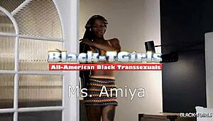 black tgirls ms amiya strips down to tease and please in solo play