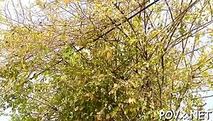 Are you ready for free nasty teen 18+ porn with wet pussies?