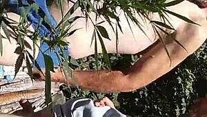 hot suck and fuck in the 420 patch