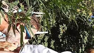 hot suck and fuck in the 420 patch