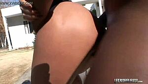 busty dunia montenegro fucks big black cock with mouth and pussy