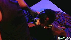 Werecat barebacks muscle hunk's ass intensely