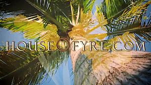 Cheating Housewife Diana Grace Bangs Neighbor in Hot Afternoon Doggy!