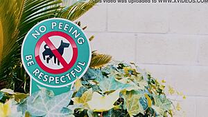 ohshetrippin - doggy dose - kabrinas first scene breeding creampie anal rimming ass eating