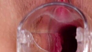 Former Track Star Makoto Shiraishi Returns In Pussy Encyclopedia 2!