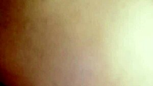 sundaydogood614 update 44 on jan 29 2024