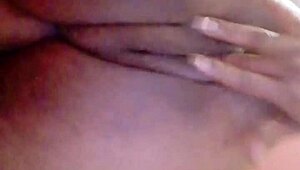 sundaydogood614 update 44 on jan 29 2024