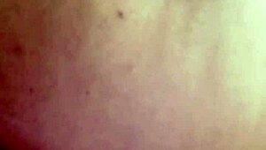 sundaydogood614 update 44 on jan 29 2024