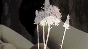 Explore the intense world of vintage threesomes with hairy pussies