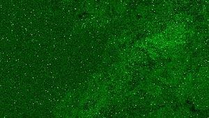 OMG, risky airplane toilet masturbation without panties, nearly caught! 😱