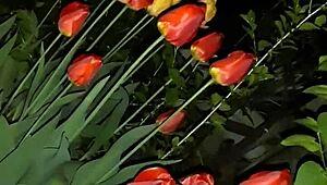 first lured my neighbor with flowers, then fucked her mouth hard for wild orgasm