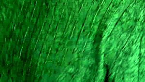 candie cross, wanna drop on your knees for a facial blowjob quickie?