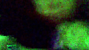 Sashaa Legend Gives Amazing Blowjob to Fat Cock