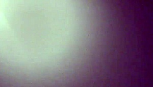 Daniel and Mandy Fuck as Amateurs