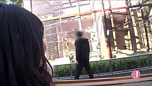 Slut Sucking Cock Deep on All Fours, Vacuum Blowjob and Tit-Job Combo