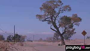 Classy short haired babe britt linn strips for naked swim