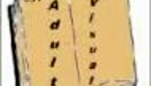 In Academy 158, what wild hentai sex happens in this anime game?