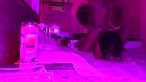 fudendo namorada na noite de aniversario com anal quickie