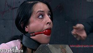 Look at me whipping this bound playgirl until she orgasms!