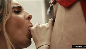 Wow, super sexy shemale Ivory Mayhem with a big cock gets drilled hard!