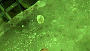 I spotted a sexy twink jerking off, so I joined and sucked his cock