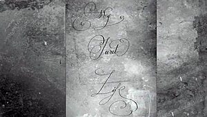 Pornostalgia brings vintage porn with hairy beauties and retro dildo play