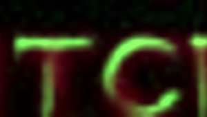 hey, sami parker’s mean real estate face-sitting game is wild