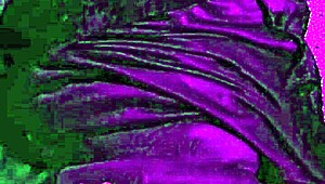 bend over for a quick doggystyle fuck