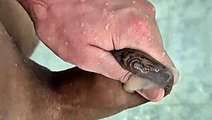 Brazilian twink enjoys solo homemade shower orgasm