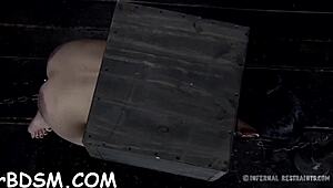 Caged Sweetheart Gives Blowjob In Bdsm Session