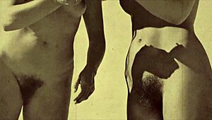 Dark Lantern Entertainment shares steamy confessions of Victorian women with hats from a secret erotic life