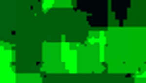 erotic artistic blowjob experience