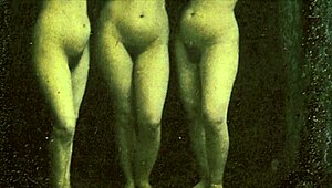 vintage porn clash of 1870s against 1970s styles