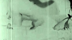 i love vintage porn with hairy beaver blowjob fucking