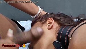 dominatrix aline monteiro's shibari show tore my pussy up! 😱