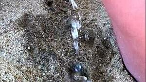 Minha Esposa Fazendo Xixi Na Praia Um Bem Comprido