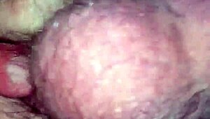 Wanna See Doggie Style with Big Pussy Lips?