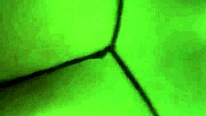 Steamy Encounter Unfolds in a Hotel Room