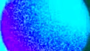 Teacher bends over, getting fucked hard with wet pussy.