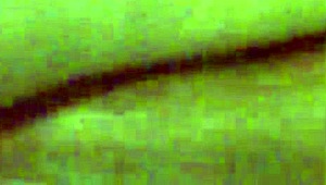 Suggestive pumping session leading to creampie with wife.