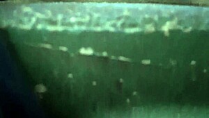 Hey, This Gay Brazilian Guy Is Masturbating In The Woods. So Relaxed And Free.