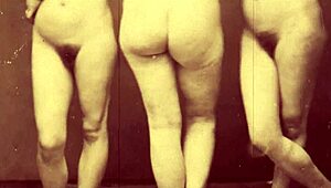 Victorian Nudes Erotic Confessions