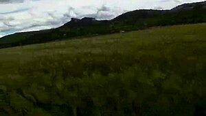 deep throating pov blowjob in outdoor field