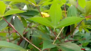 Why we love going to the farm with step sis! So much fun!