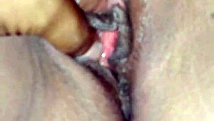 Mamada Tamaulipas Solo Blowjob With Intense Action