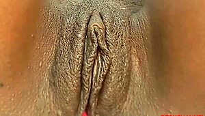 bbw pussy getting a huge creampie from big black cock 😍